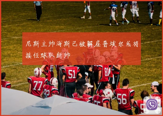 尼斯主帅海斯已被解雇普埃尔或将接任球队新帅