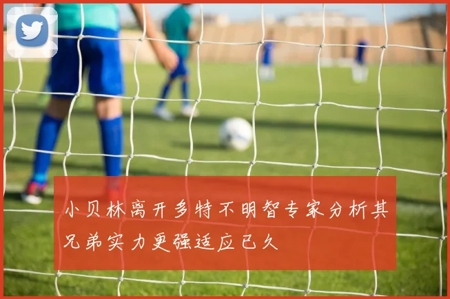 小贝林离开多特不明智专家分析其兄弟实力更强适应已久