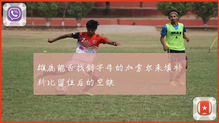 雄鹿能否找到字母的加索尔来填补科比留住后的空缺