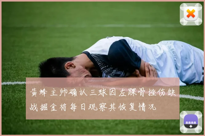 黄蜂主帅确认三球因左踝骨挫伤缺战掘金将每日观察其恢复情况
