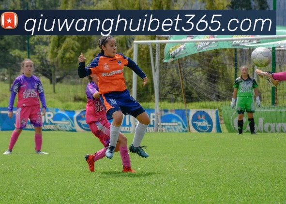 球王会体育发展历程